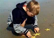 Ökad integration på agendan i årets forum för Östersjöstrategin