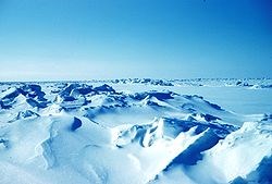 Arktis framtid på agendan
