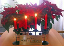 Nyårshälsning 2013