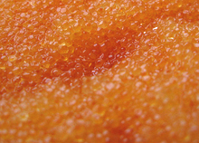 Kalix löjrom märkesskyddas av EU