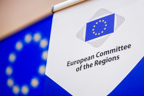 Regionkommittén antog yttrande om EU:s skogsstrategi för 2030 där North Sweden hjälpt till med inspel 