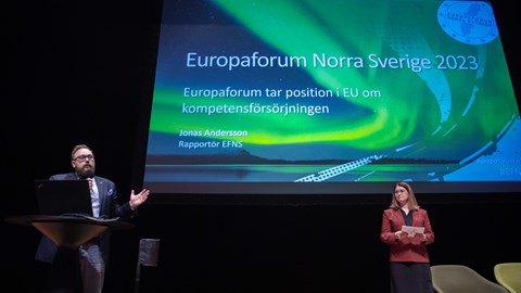 Stort engagemang under Europaforum 2023 i Umeå