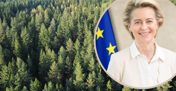 Forestry urgent matter for Ursula von der Leyen: Heading to Sweden