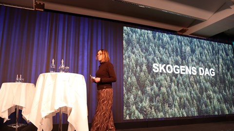 Laddad stämning på Skogens dag: Ny skogsutredning presenterades